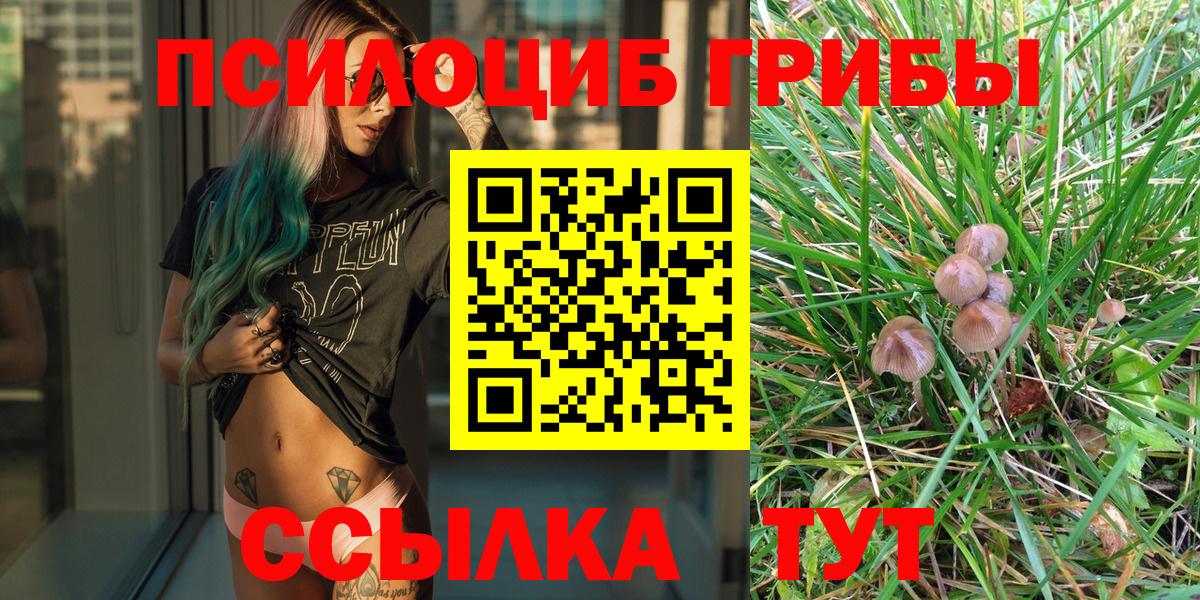 Донецк  Галлюциногенные грибы Magic Shrooms  Вход с VPN  Псилоцибиновые грибы Cubensis 